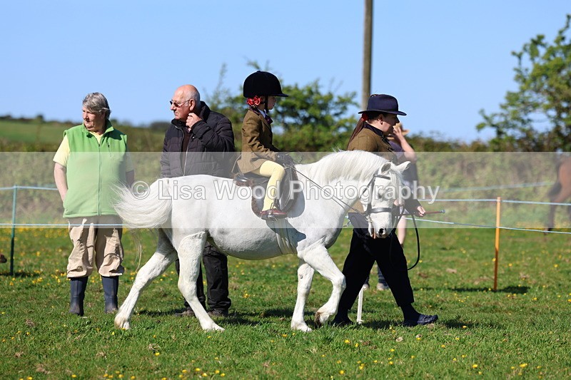 3E7A8906 - Class 2: Lead rein