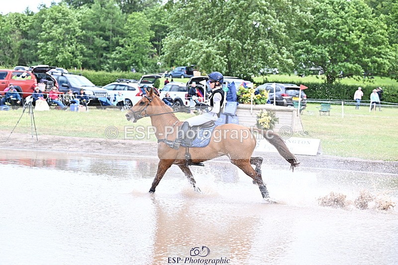 250525A-125252-16119 - D-453-Daisy.Berkeley-DIESE.DU.FIGUIER