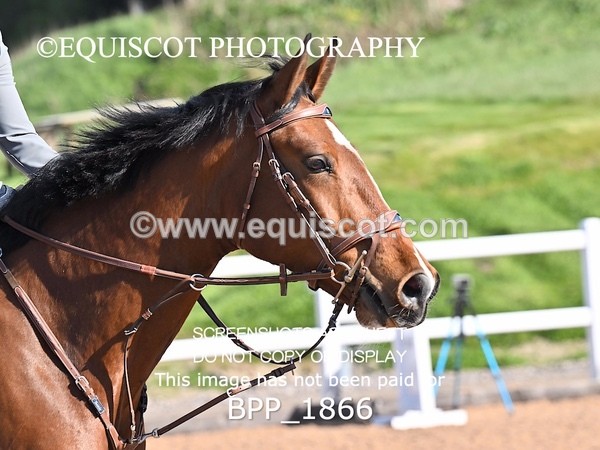 BPP_1866 - CLASS 2 - FRI - KBIS Club Senior 80cms
