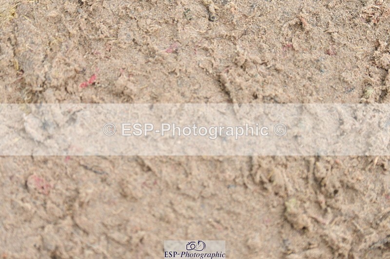 230511A-131539-00726 - BD Cls 6 Music Novice