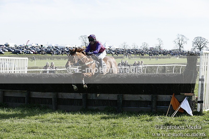 PtP 250317 219 - V.W.H. Hunt Point-to-Point Siddington 25/03/17