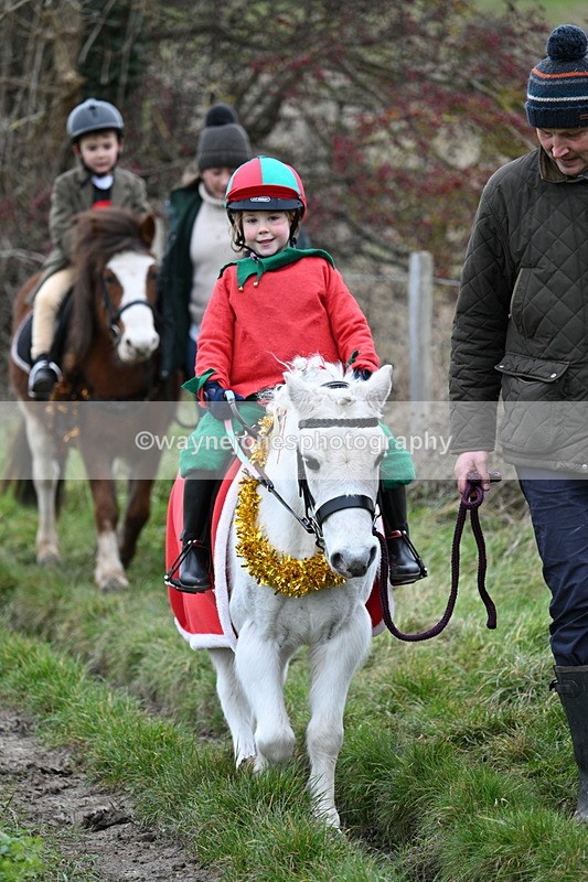 WJ7_0966 - First Seen