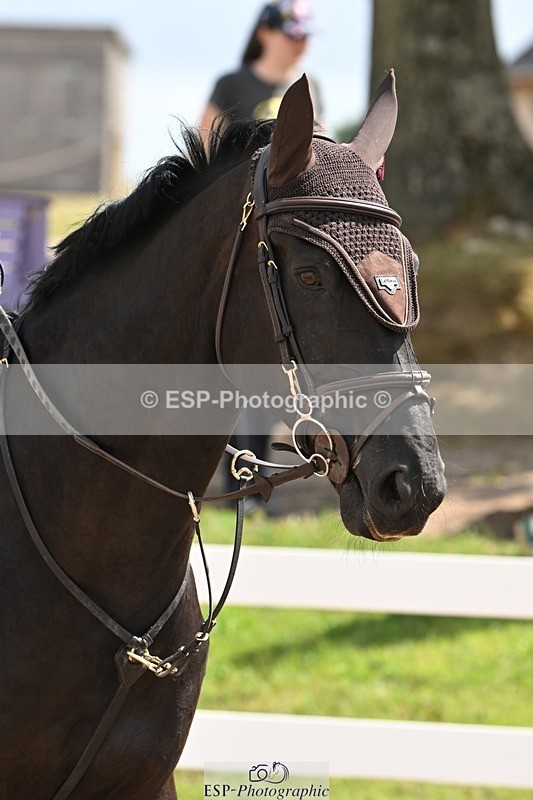 250723-113813-00381 - Cls 1 British Novice and 90cm