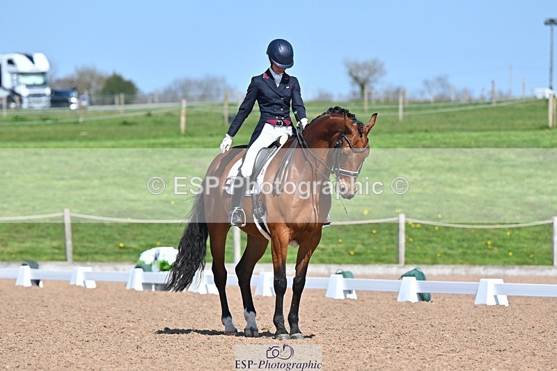 250405-125949-10803 - 028-Elizabeth.Allen-Heraldik