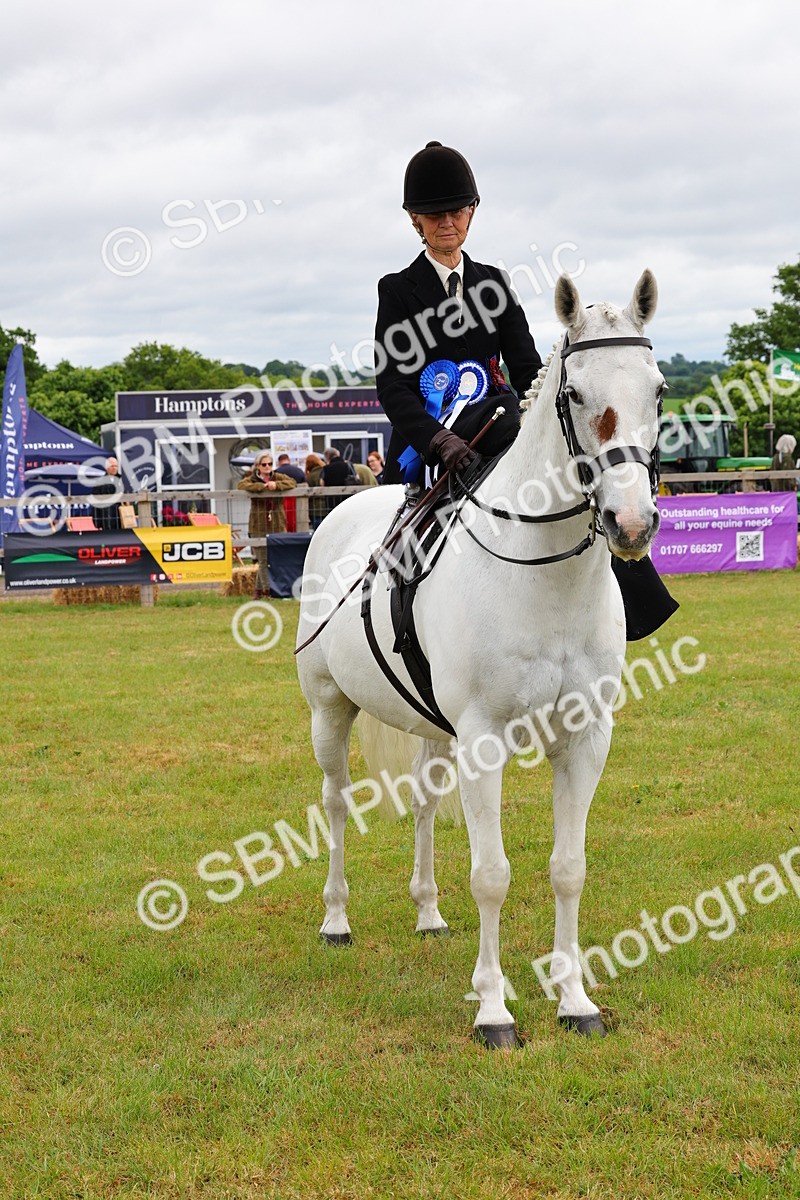 SBM_02781 - Class 9-11 Side Saddle including LIHS Rising Star Ladies Show Horse