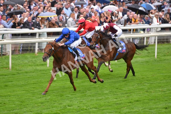 yr21082021r3-19 - Race 3 3.00pm Sky Bet City of York Stakes