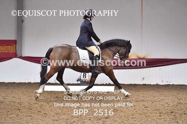 BPP_2516 - 31 - E CLARKSTON