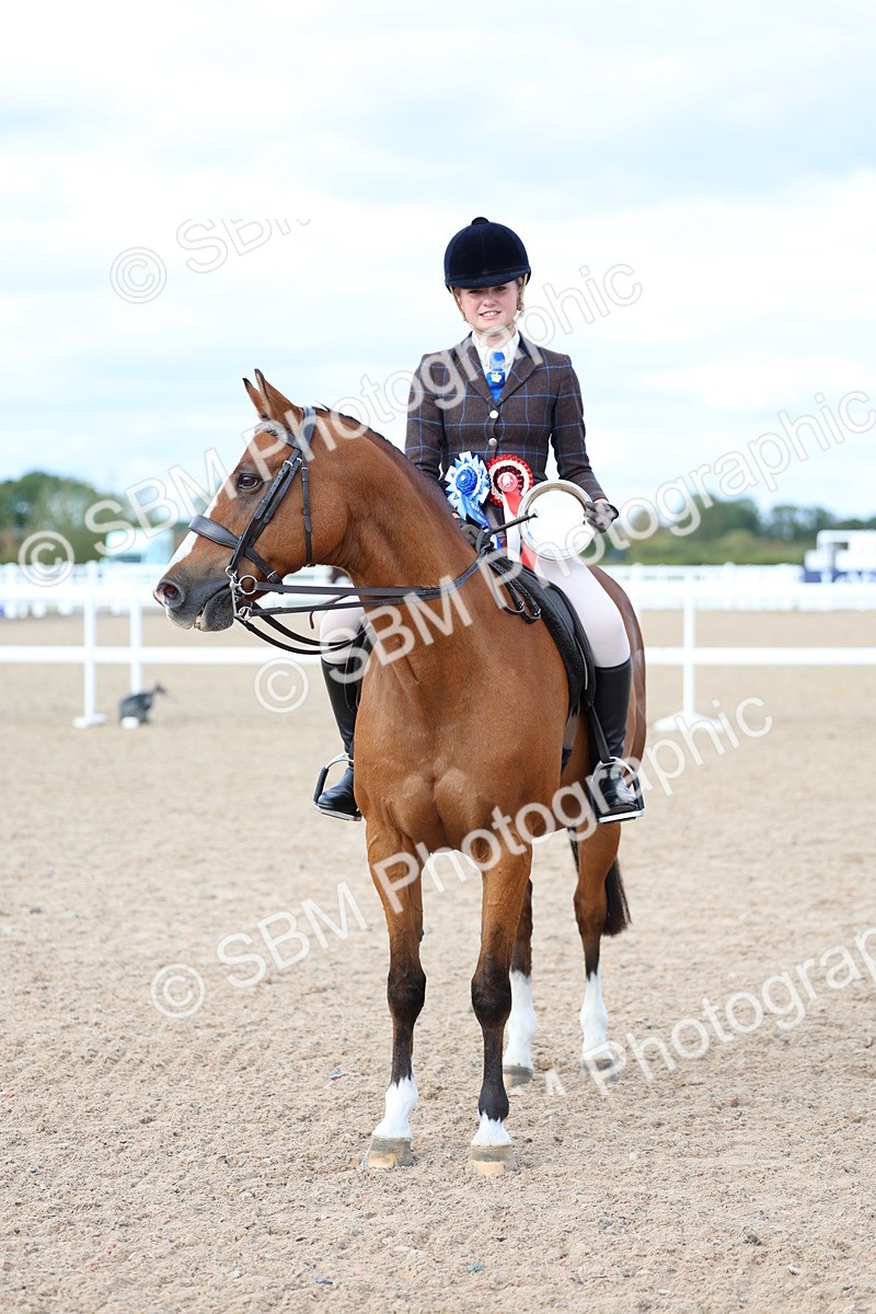 SBM_17613_Class 316 - Best Pony Rider Combination - Poppy