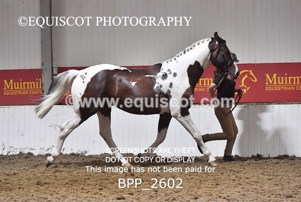 BPP_2602 - LOOSE JUMPING / SPSS