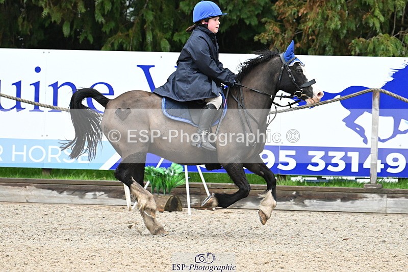 250418A-081053-00035 - NSEA GR 40cm and 50cm