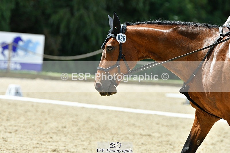 230623-124154-00682 - Cls 3 Novice 23 12.10 to End