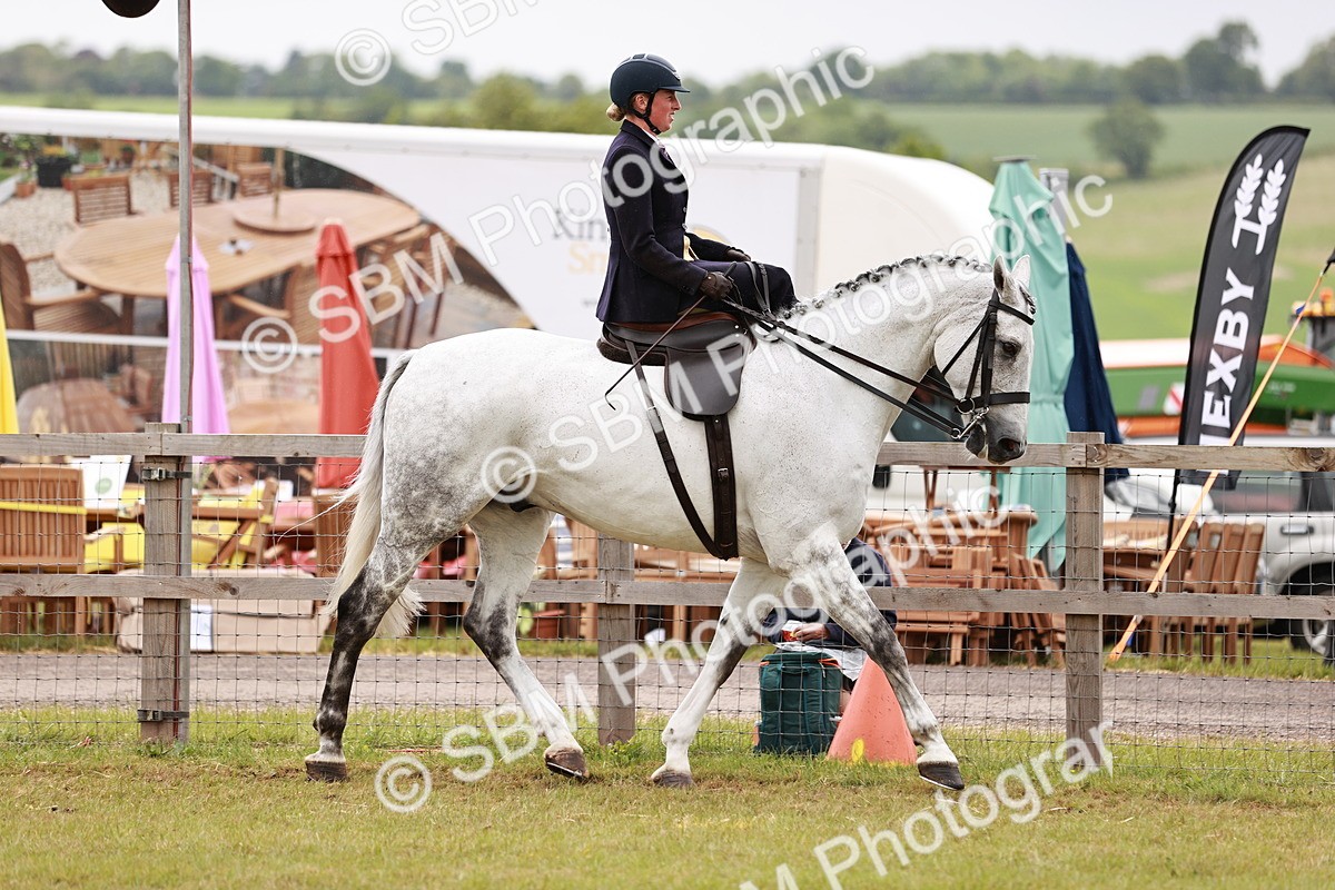 SBM_10969 - Class 81-84 - RIHS Ridden hunters Inc Ladies Hunter