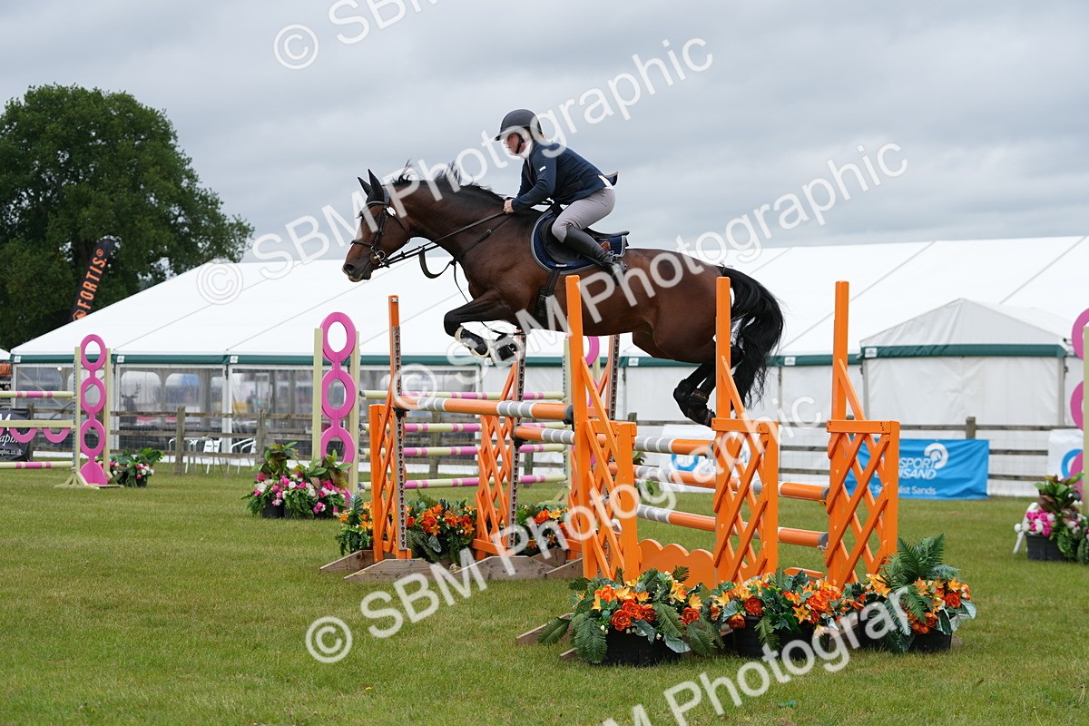 SBM_03341 - Class 201 - British Horse Feeds Speedi Beet Horse of the Year Show Grade  C