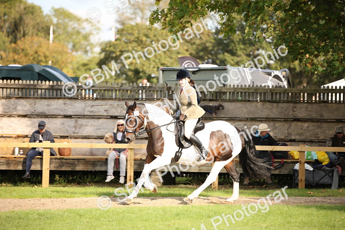 SBM_50186 - S26 - Young Veteran - Ridden