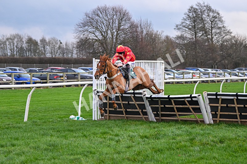 171224-Race 4-Wise Eagle-3314 - Race 4