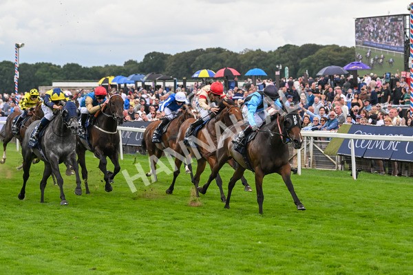 220825-Race 4-Asfoora-7523 - Race 4 3.35pm Coolmore Wootton Bassett Nunthorpe Stakes