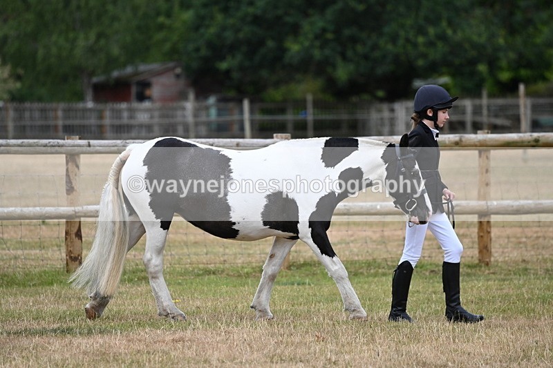 WJ6_4152 - Class 10 Coloured In-hand