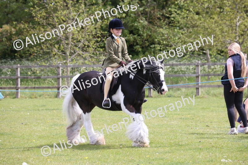 20260426-4044 - Class 33 - Best Pony 14.2hh and Under