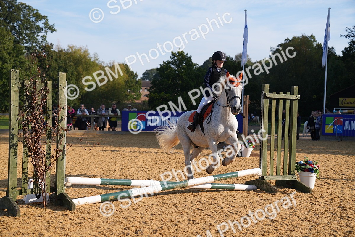 SBM_59083 - J63 - Minis Clear Round 30cm 40cm