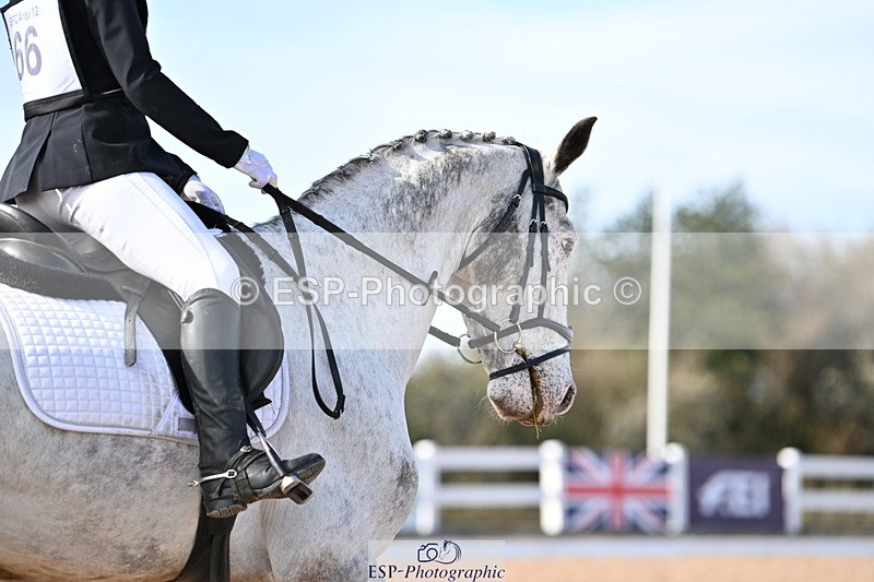 240324A-145353-04105 - Novice 27, 14.30 to 15.25