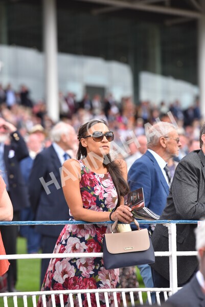 yr17082022r5-32 - Race 5 4.10pm Sky Bet Stayers Stakes