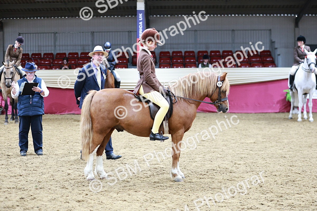 SBM_03563 - Class 6A Area Ridden Pre-Vet