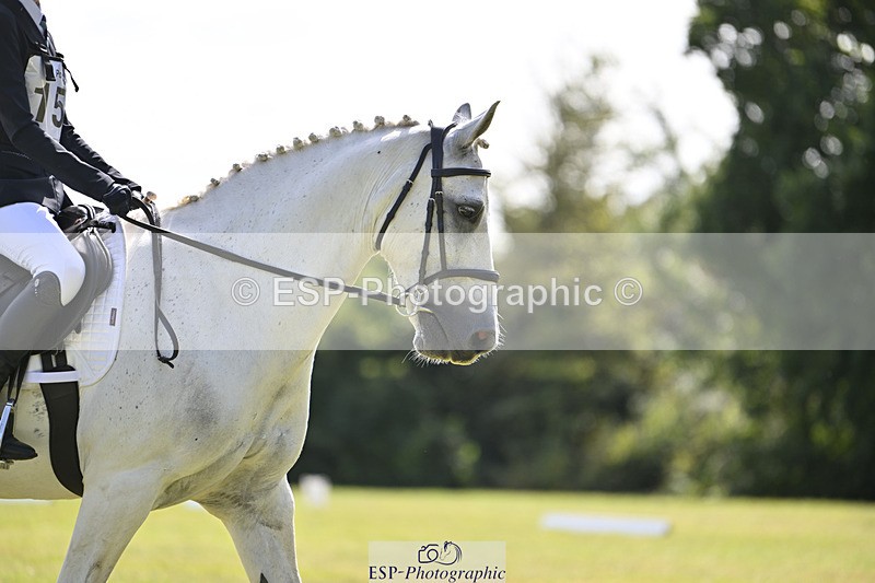 240824X-114040-25978 - D80 Section E and F 11.00 to 12.00