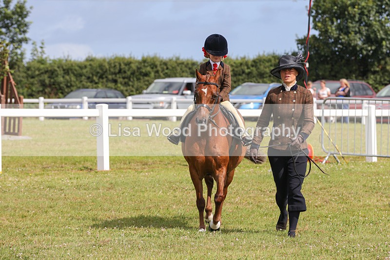 1X9A3629 - Class 29: Lead Rein SP/SHP