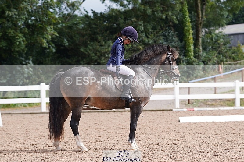 240809A-100108-00398 - Dressage Competition