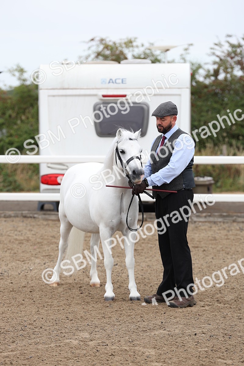 SBM_00035 - Class 50 - Best Turned Out IH