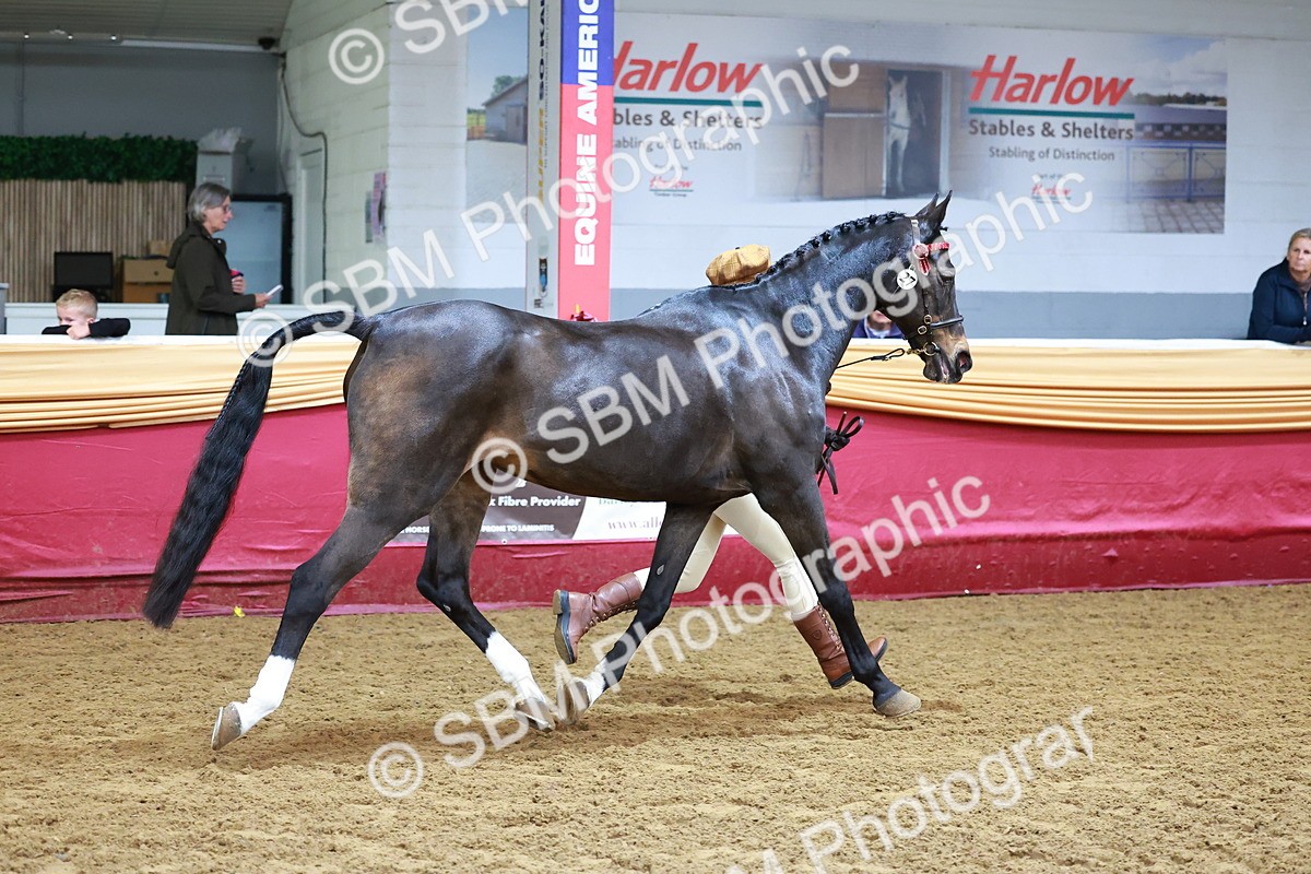 SBM_16122 - Class 901 - Sup Final - IH Diamond