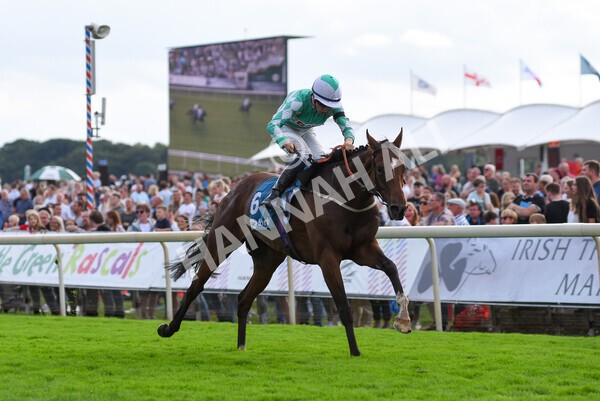 yr04092022r6-41 - Race 6 4.40pm Hanson Springs Stakes