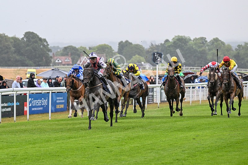 150725-Race 3-Time Tells All-0342 - Race 3