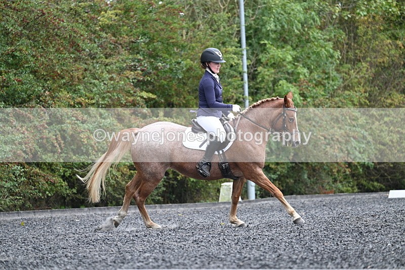 WJ7_3752 - Time 11:04 to 11:38