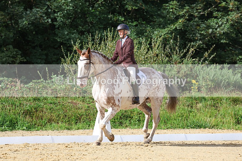 3E7A2398 - Class 1: Intro 4 2024 section A