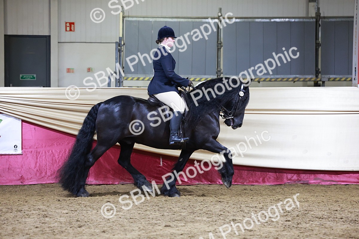 SBM_20899 - Class M - Equitation Champ