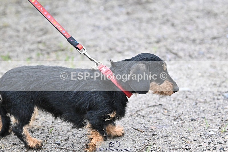 241206-144438-01153 - Naomi