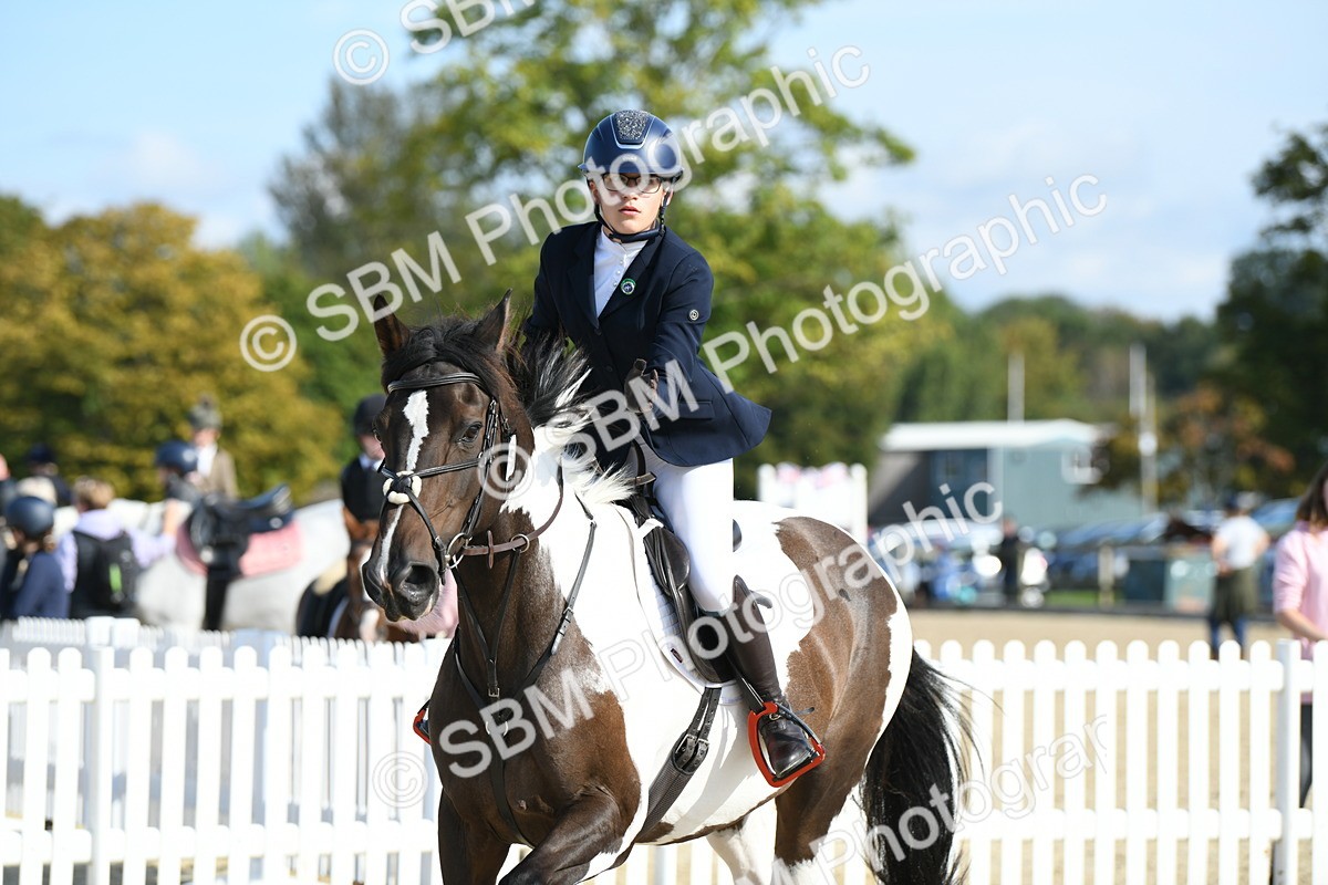 SBM_61635 - j25 - Junior Horse 80cm Championship