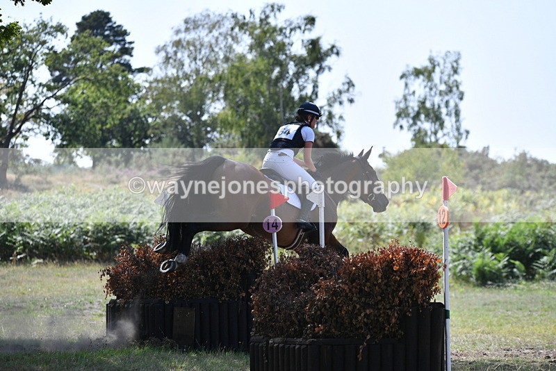 WJ5_3467 - XC Time 13:30 to 14:00