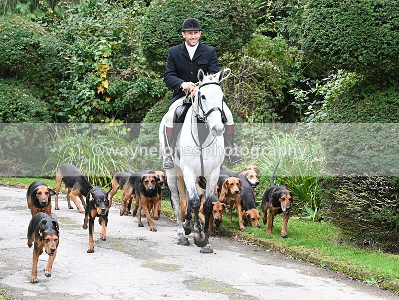 WJ7_6476 - Berks & Bucks - Children's Meet - The Old Farmhouse – Steventon.