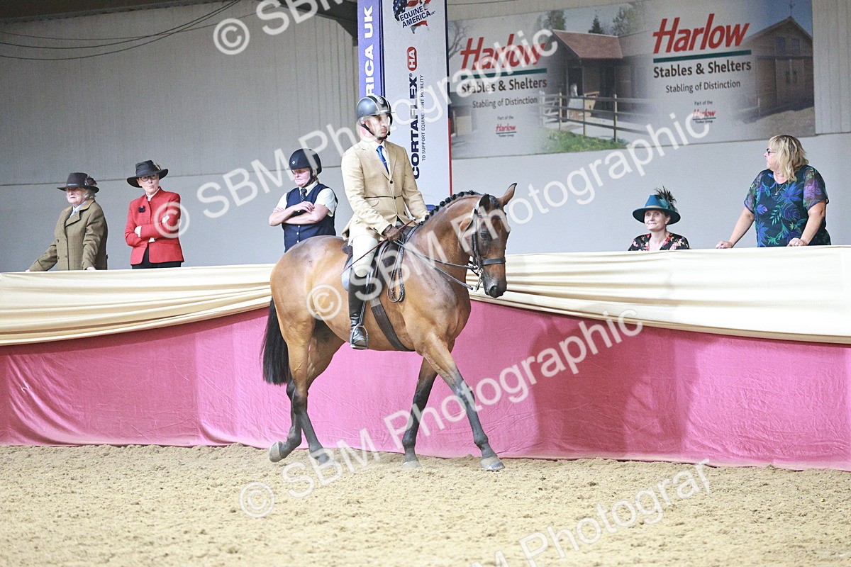 SBM_08741 - Class 12R - Regional Ridden Pre-Vet