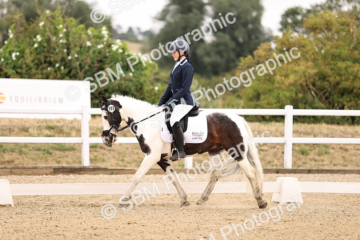 SBM_005219 - Intro 3 - 8.30-9.30