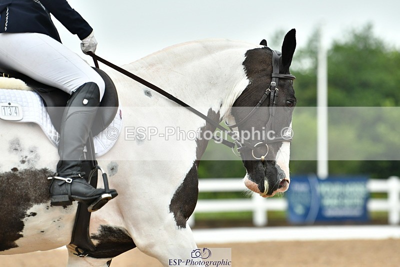 230708A-141211-03383 - Prelim 14