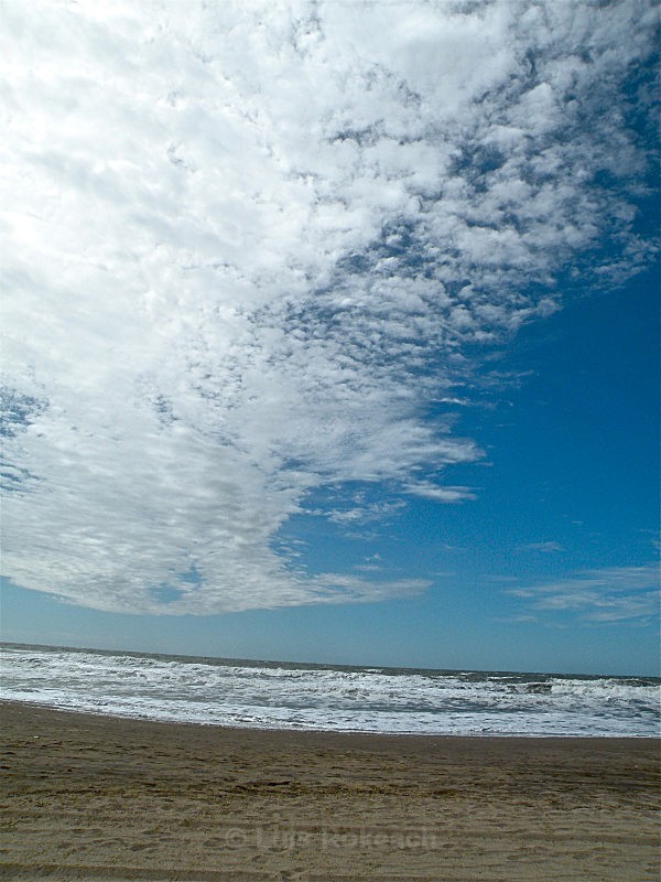 - Sea