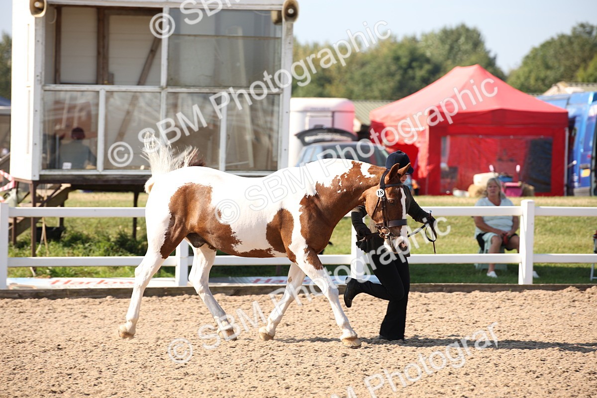 SBM_01457 - Class 15 IH Coloured