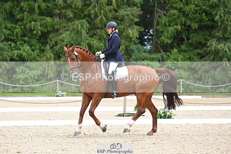 230813-135722-07652 - Cls 13 Medium Bronze 13.15 to End