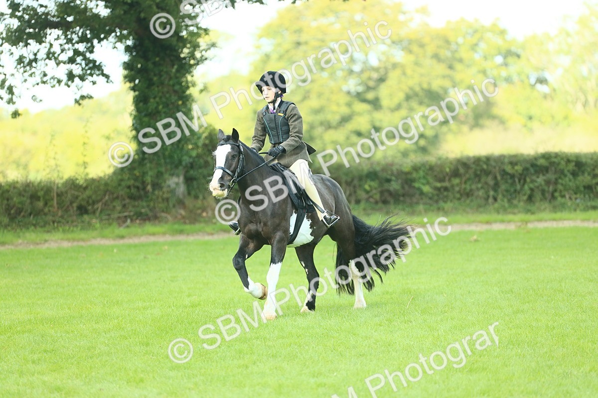 SBM_42023 - S29 - Novice & Newcomers Working Hunter Pony