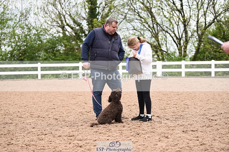 240518A-122558-01164 - Cls 4 Best Crossbred