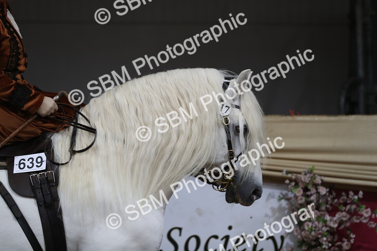 SBM_11516 - Class 105 Ridden Costume- Side Saddle