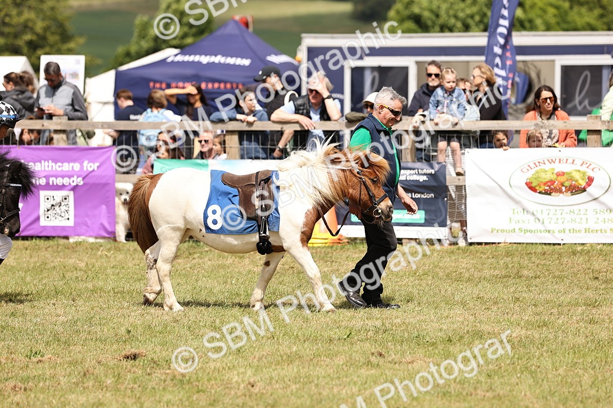 SBM_16397 - Dinky Derby